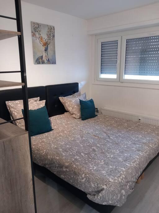 Super Appart Strasbourg 6 Pers Centre-Ville Ideal Dış mekan fotoğraf