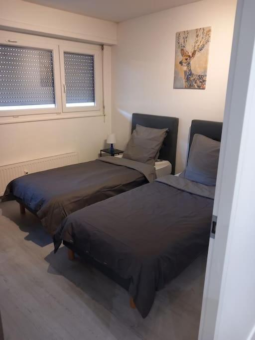 Super Appart Strasbourg 6 Pers Centre-Ville Ideal Dış mekan fotoğraf